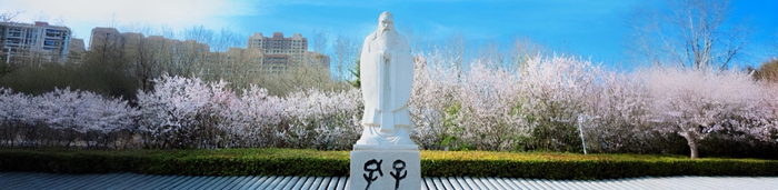 文章配图2